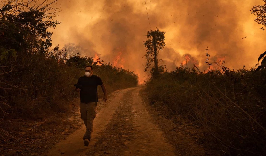 Vivemos uma situação de guerra no Pantanal, diz senador de comissão de queimadas