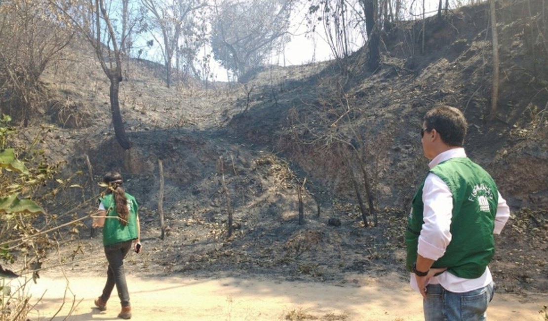 IMA vistoria nova área incendiada pela Granbio