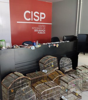 Casal é preso com drogas, dinheiro e animais silvestres em Porto Real do Colégio