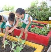 Horta escolar muda hábito alimentar de alunos da rede municipal de Maceió