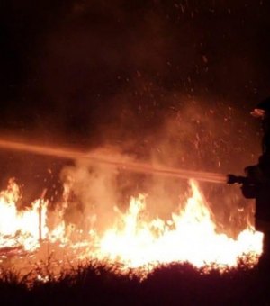 Incêndio atinge grande área de vegetação em Penedo e é controlado pelo Corpo de Bombeiros