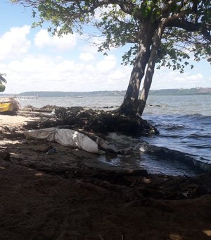 Corpo decapitado é encontrado boiando na Lagoa Mundaú