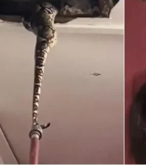Cobras gigantescas em teto de quarto surpreendem a web