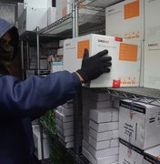 229.450 mil doses de vacinas contra Covid-19 chegam em Alagoas nesta sexta (25)