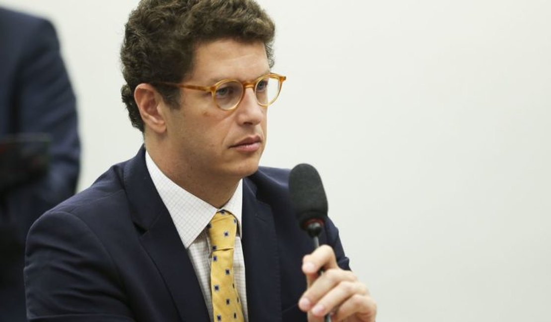 Rosa Weber derruba decisão de Ricardo Salles que tirava proteção de restingas e manguezais