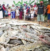 Aldeões matam 292 crocodilos para vingar morte de vizinho na Indonésia