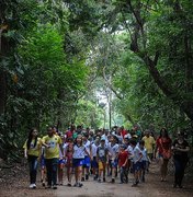 Parque do Horto terá trilha especial do Pinto da Madrugada