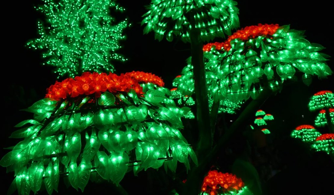 Prefeitura de Maceió ilumina árvore de Natal no Corredor Vera Arruda