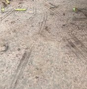 [Vídeo] “Chupa-frango”? Mais de 15 galos aparecem sem cabeça em Feira Grande 
