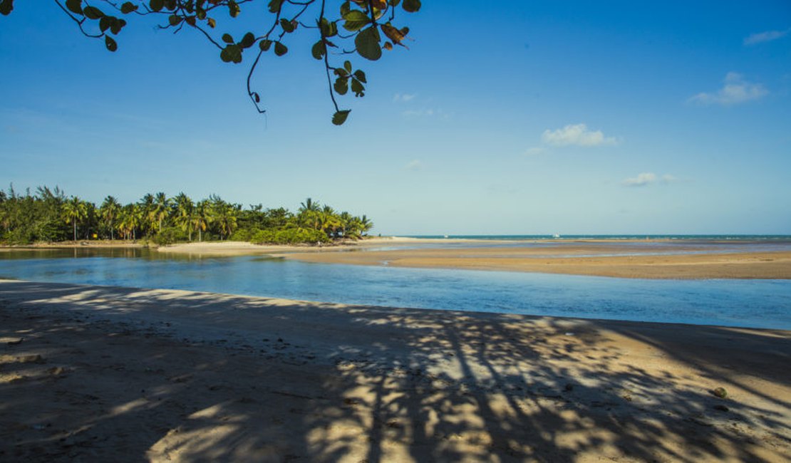 Verão Maragogi: Praia de Camacho é perfeita para quem curte calmaria