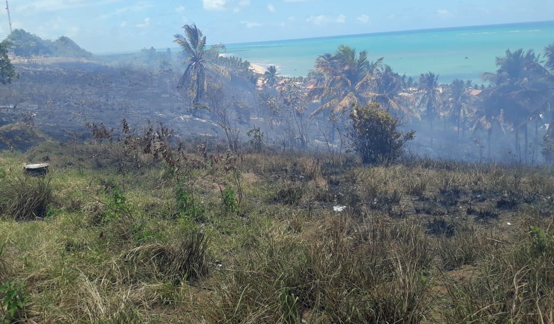 Queima de lixo provoca incêndio em vegetação em Japaratinga