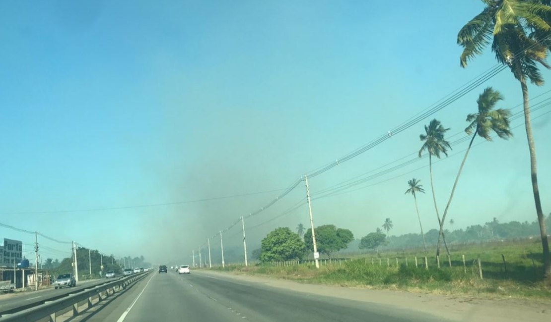 Incêndio de grande proporção atinge vegetação às margens da AL-101 Sul