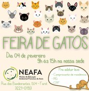 Doação: Neafa realiza primeira feira de adoção só para gatos em fevereiro