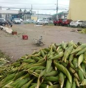Prefeitura de Maceió define local para venda de milho no Jacintinho