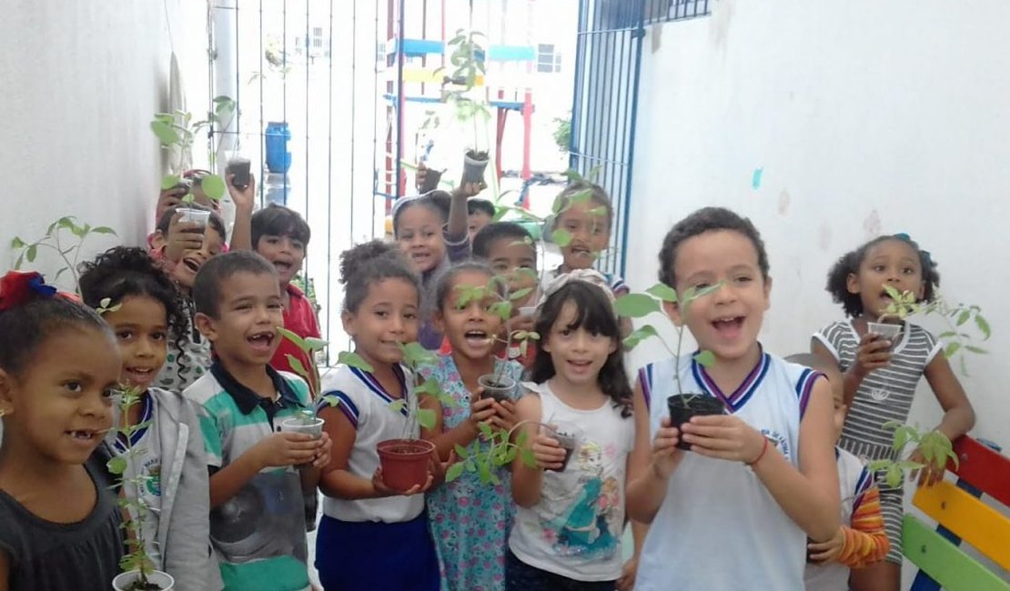 Plantando nas Escolas: especialistas aprovam hortas orgânicas
