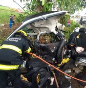 Boca da Mata: colisão entre carro e árvore resulta em três mortos e um ferido 