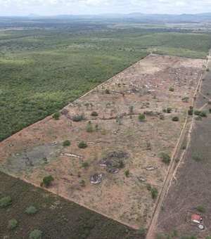 Operação flagra e embarga 700 hectares de desmatamento no bioma Caatinga