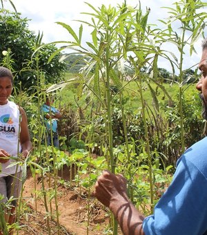 IBGE realiza novo Censo Agropecuário depois de dez anos