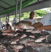 Feira do Peixe Vivo começa nesta quarta-feira (23)