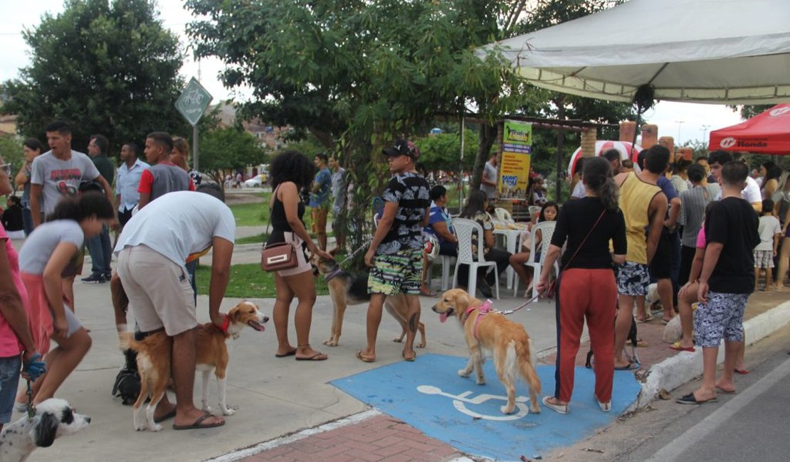Feira de adoção de animais acontece neste domingo (17) em Arapiraca