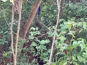 Corpo é encontrado em mata na zona rural de São Miguel dos Campos