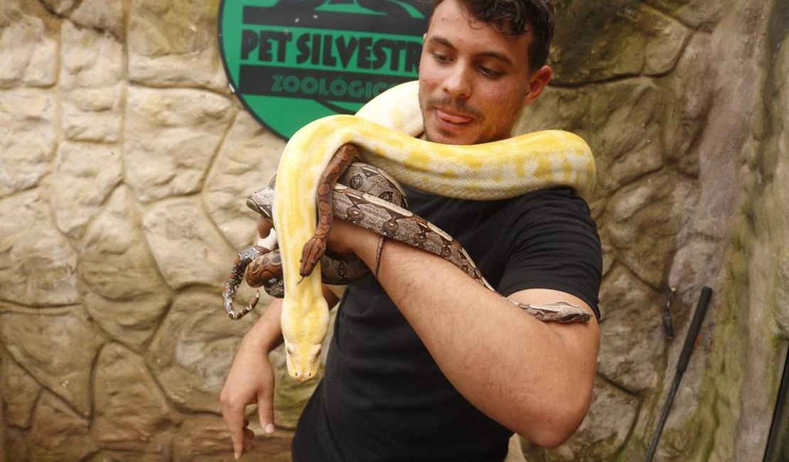 Zoológico Pet Silvestre de Maragogi se consolida como atração turística de AL