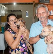 Apaixonados por animais, idosos cuidam de 73 cachorros dentro de casa em Arapiraca