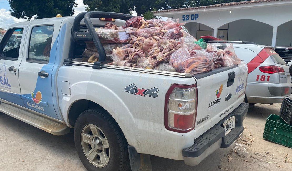 Com suspeita de venda de carne de cavalo, PC desmonta matadouro clandestino em Arapiraca