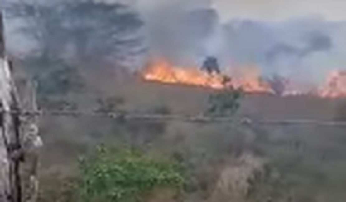 Fogo queima área de vegetação perto de rodovia em Feira Grande