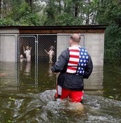 Fotógrafo narra resgate de cães presos em canil durante enchente provocada por furacão Florence
