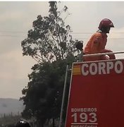 Mulher morre carbonizada em incêndio à residência na zona rural de Limoeiro de Anadia