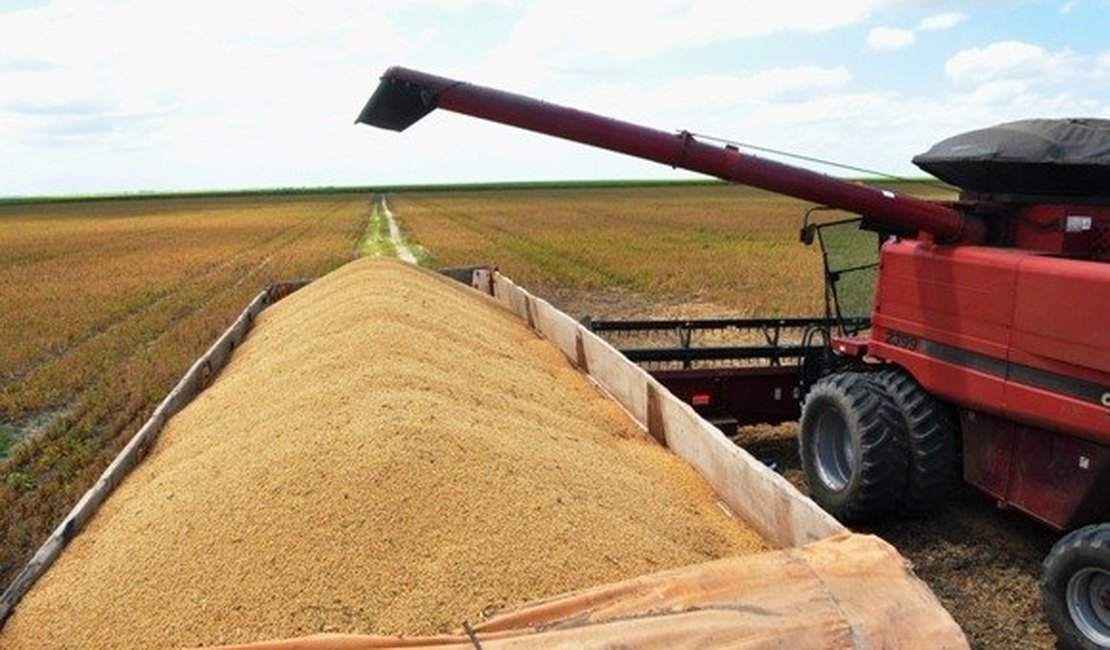Alagoas promove última colheita de soja