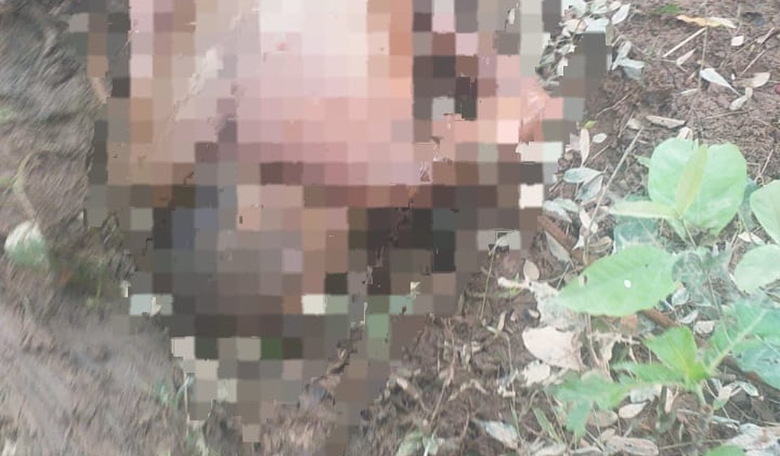 Corpo achado no Passo de Camaragibe é de turista de SP desaparecido em Maceió