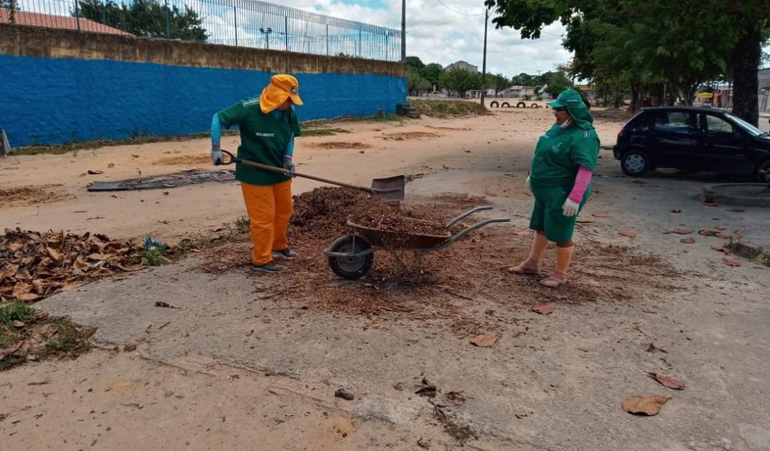 Prefeitura irá plantar mais de 80 mudas na parte alta da cidade