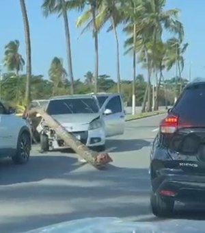 Carro colide contra coqueiro e complica trânsito em trecho da AL-101 no Pontal