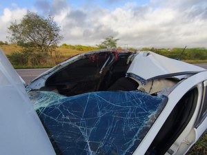 Carro de vereador de Pariconha bate em cavalo a caminho de Pilar