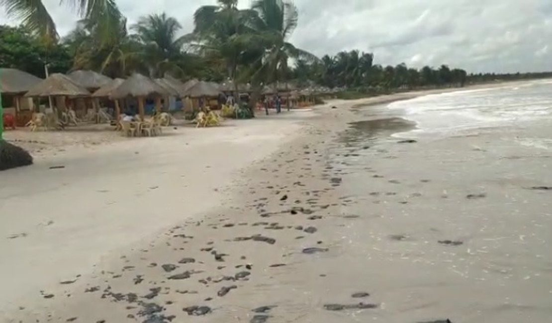 [Vídeo] Manchas de piche surgem em praia no município de Coruripe