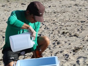 Amostras de trechos de praias de AL indicam águas livres de contaminação