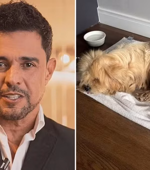 Zezé Di Camargo anuncia adoção de cachorro de rua encontrado em camarim