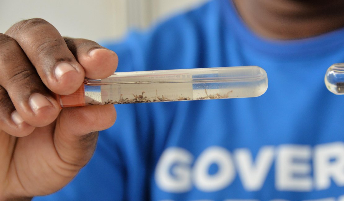 Ministério da Saúde aponta queda de 58% nos casos de dengue em Alagoas