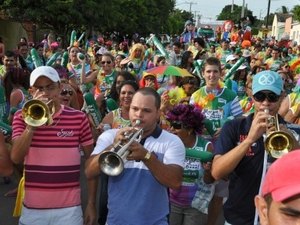 Folia de Rua 2016 vai ter desfile de bloco da Imprensa