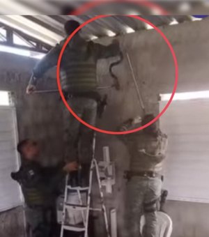 Jiboia se esconde em telhado de casa no Benedito Bentes e é resgatada pelo BPA
