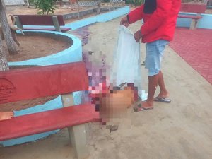 Homem é morto com golpes de foice em Traipu