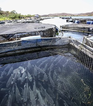 FPI flagra pesca irregular e orienta pescadores sobre período de reprodução de peixes