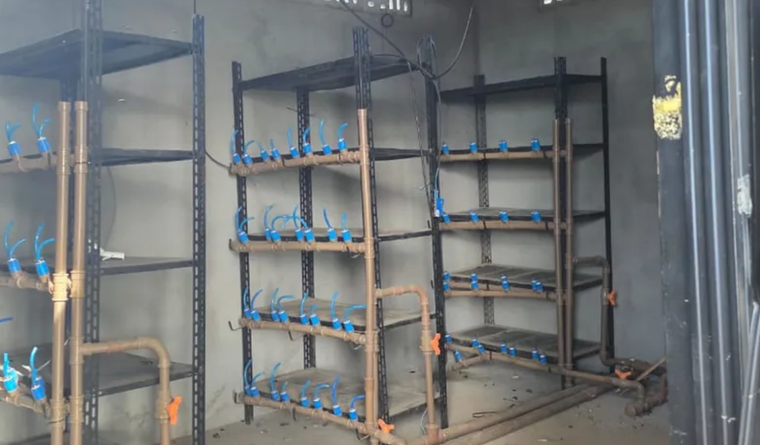 Esquema de mineração clandestina de criptomoedas gera prejuízo de R$ 750 mil e dano ambiental em AL