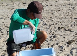 Amostras de trechos de praias de AL indicam águas livres de contaminação