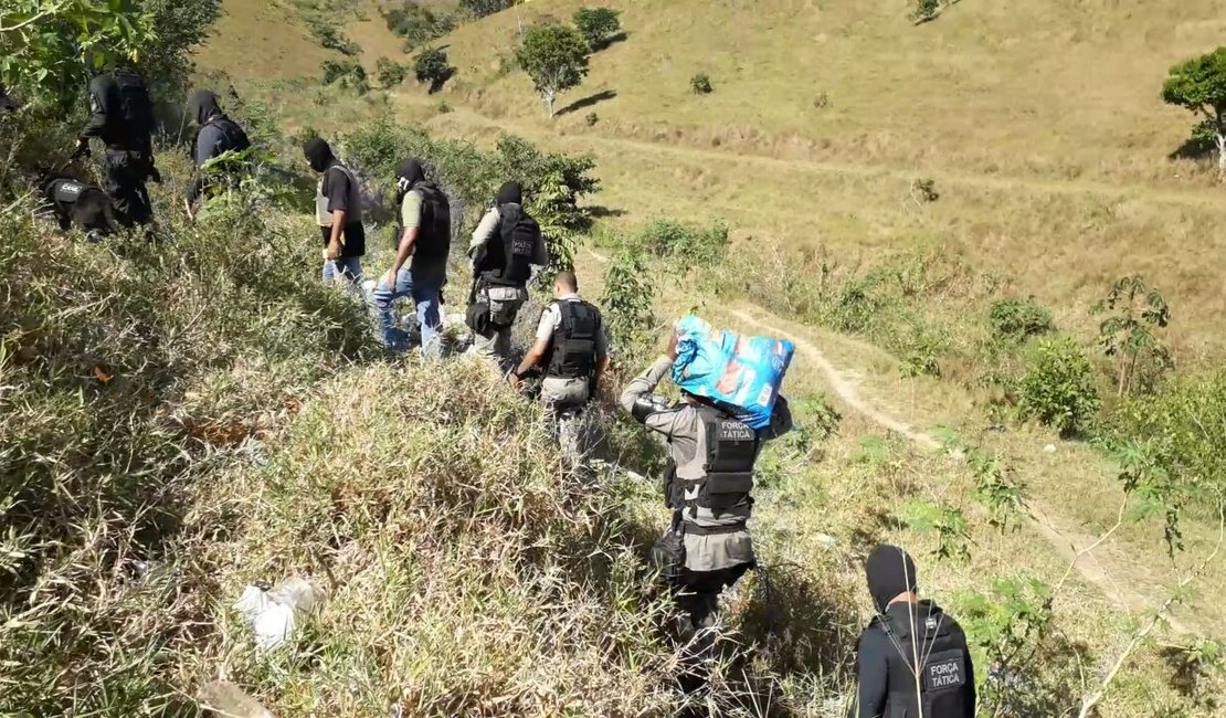 Polícia faz varredura e apreende 40 kg de maconha em grota do Benedito Bentes