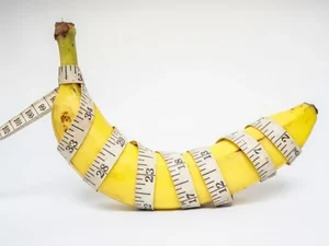 Estudo aponta se tamanho do pênis e da vulva importa na hora H