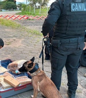 Ônibus é interceptado com mais de 30kg de maconha em São Sebastião