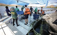 Vários pescadores e ribeirinhos foram abordados e receberam informações e orientações quanto a conduta neste período de piracema.